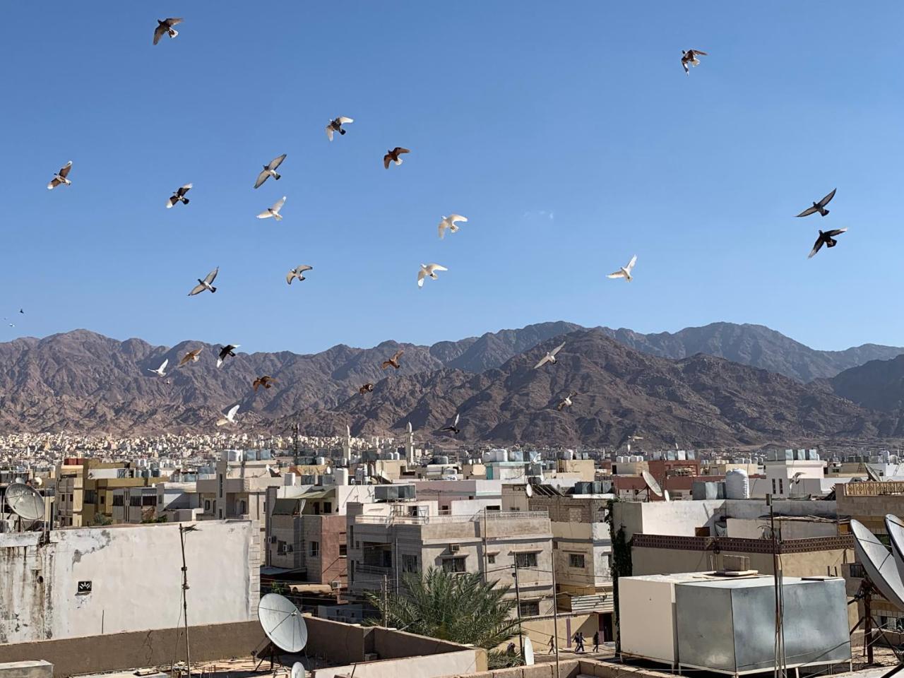Room 17 Youth Hostel Aqaba Luaran gambar